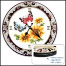 ��ǰ�̹���