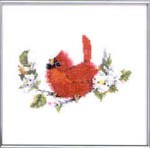 ��ǰ�̹���