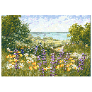 ��ǰ�̹���